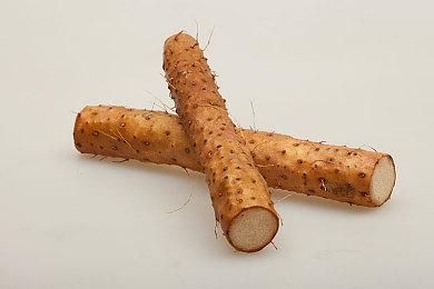 State of Play新一期发布会将于6月5日举行